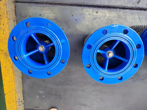 帶過濾器底閥 帶過濾器底閥