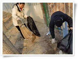 凈美中國行動(dòng)