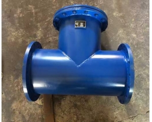 T型過(guò)濾器碳鋼